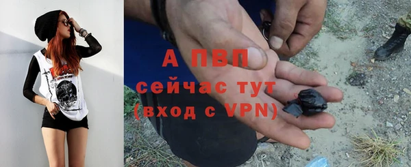 apvp Алексин