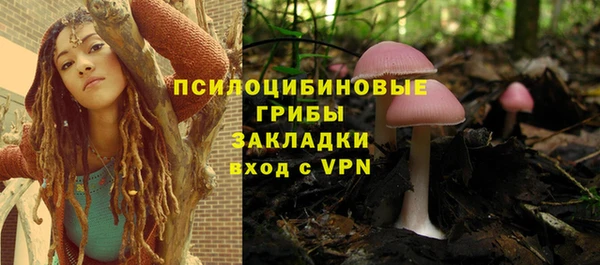 apvp Алексин