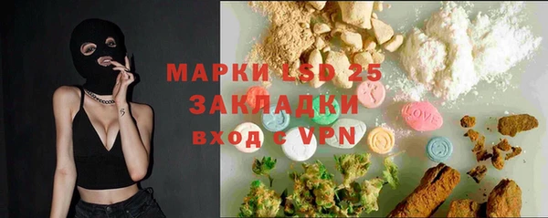 индика Сафоново