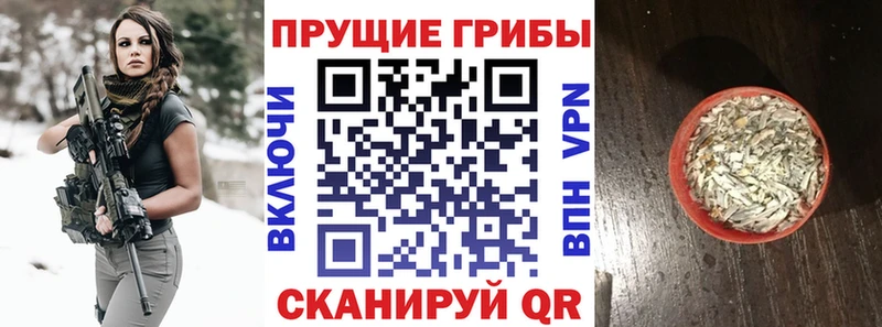 Галлюциногенные грибы GOLDEN TEACHER  Данилов 